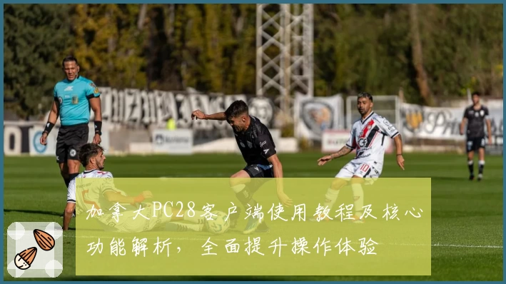 加拿大PC28客户端使用教程及核心功能解析，全面提升操作体验