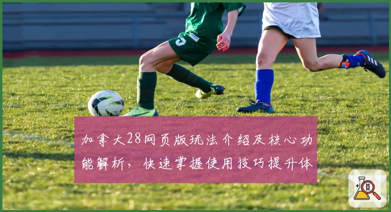 加拿大28网页版玩法介绍及核心功能解析,快速掌握使用技巧提升体验