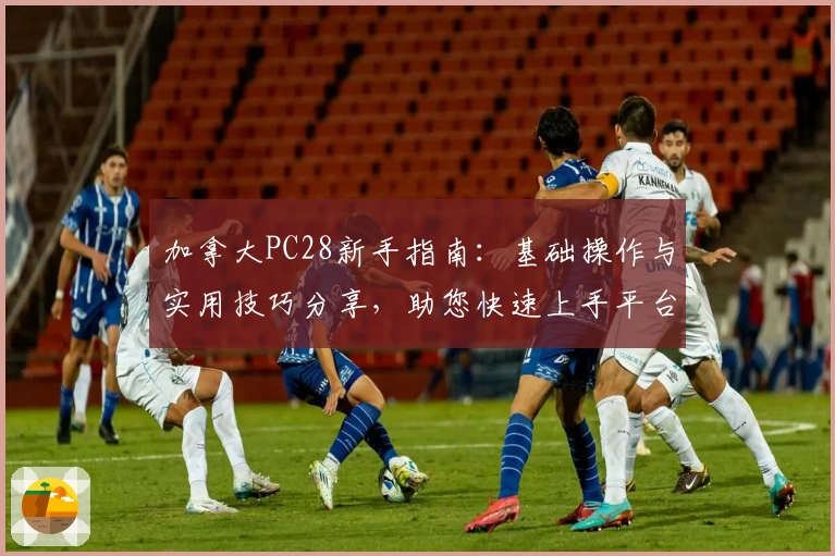 加拿大PC28新手指南：基础操作与实用技巧分享，助您快速上手平台功能