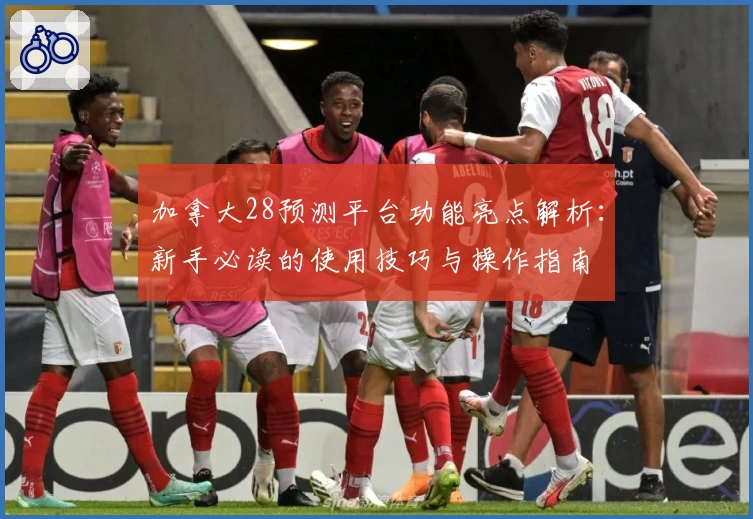 加拿大28预测平台功能亮点解析：新手必读的使用技巧与操作指南