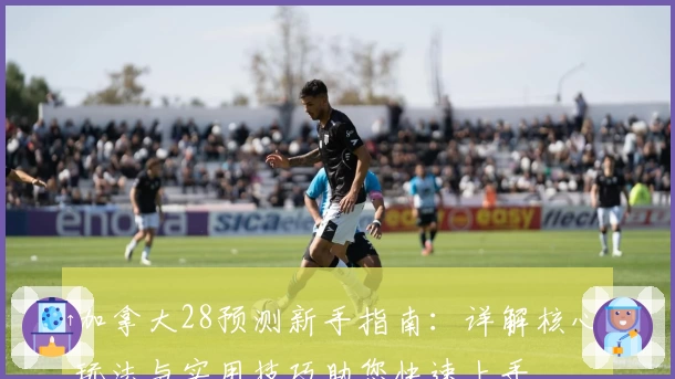 加拿大28预测新手指南：详解核心玩法与实用技巧助您快速上手