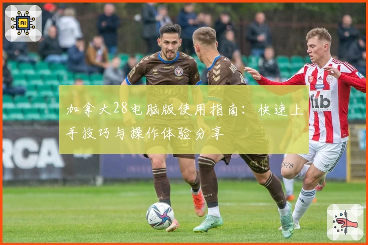 加拿大28电脑版使用指南：快速上手技巧与操作体验分享