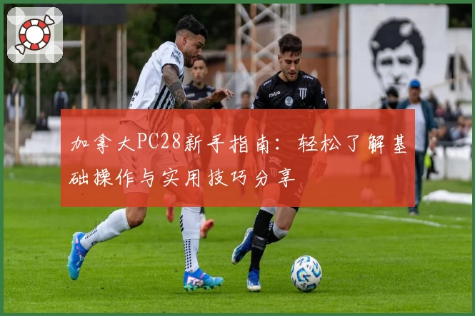 加拿大PC28新手指南:轻松了解基础操作与实用技巧分享