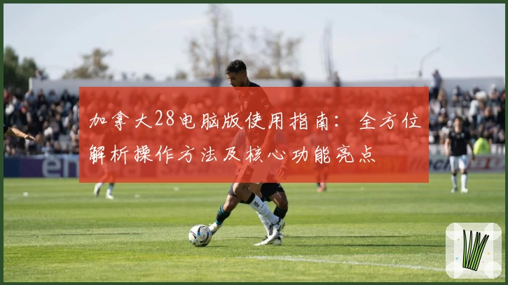 加拿大28电脑版使用指南：全方位解析操作方法及核心功能亮点