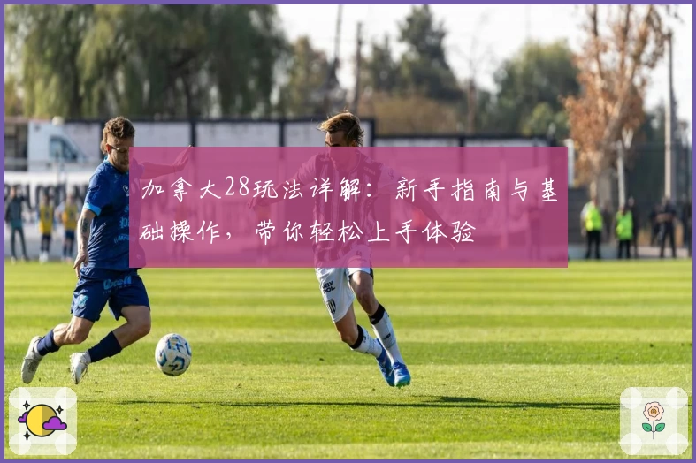 加拿大28玩法详解：新手指南与基础操作，带你轻松上手体验