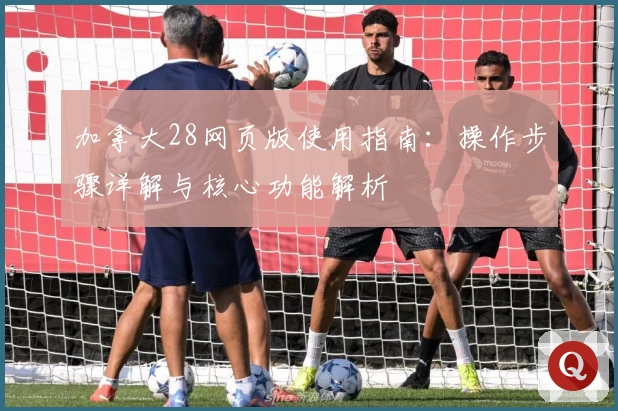 加拿大28网页版使用指南：操作步骤详解与核心功能解析