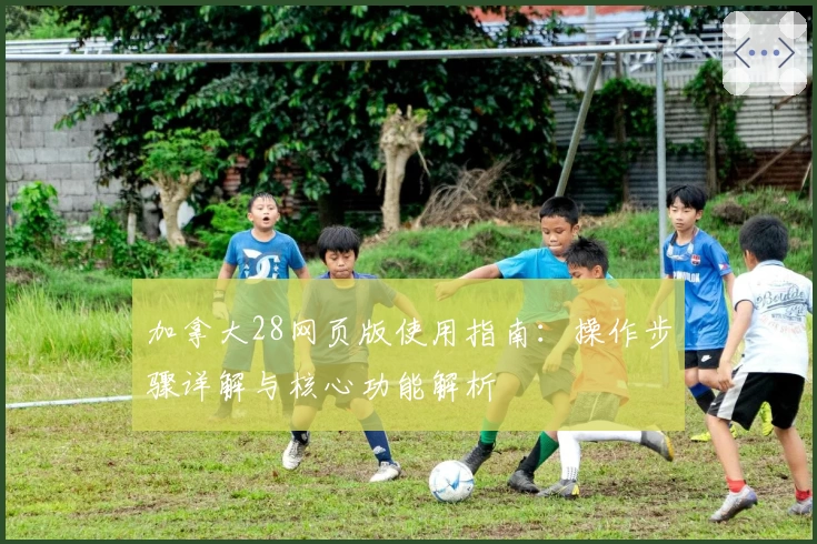 加拿大28网页版使用指南：操作步骤详解与核心功能解析