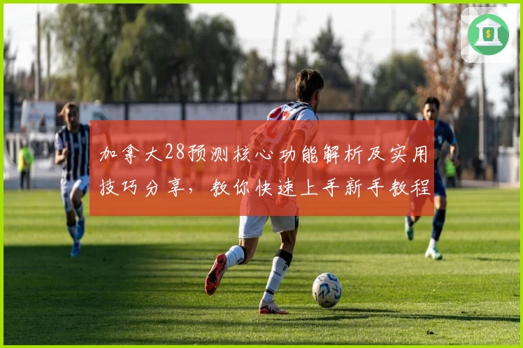 加拿大28预测核心功能解析及实用技巧分享，教你快速上手新手教程